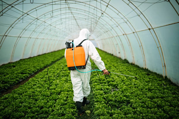 Best Ant Control Services  in Venersborg, WA