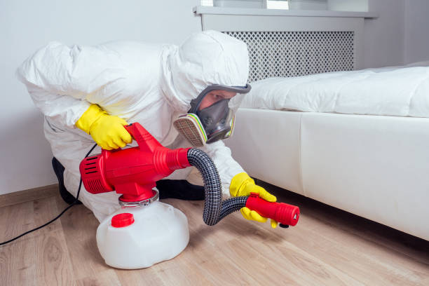 Best Insect Control  in Venersborg, WA