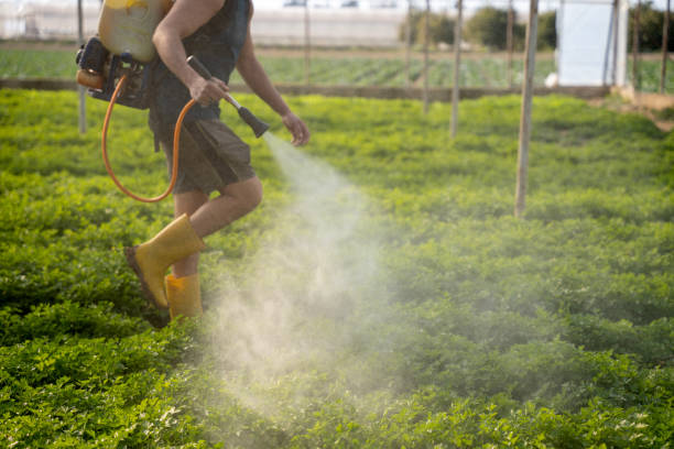 Best Pest Control Near Me  in Venersborg, WA