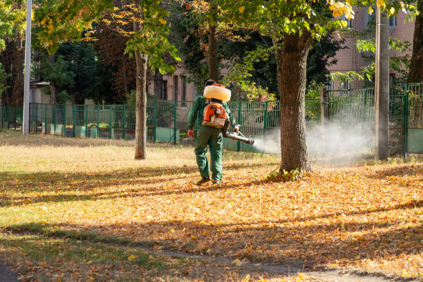 Best Cockroach Control Services  in Venersborg, WA